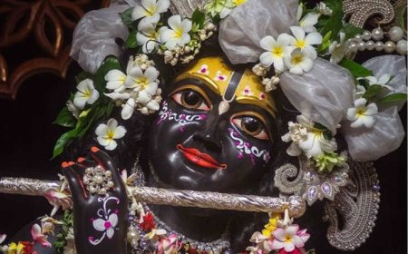 श्रीवृंदावन धाम में ठाकुर बांकेबिहारी का दिव्य रूप और उनकी महिमा