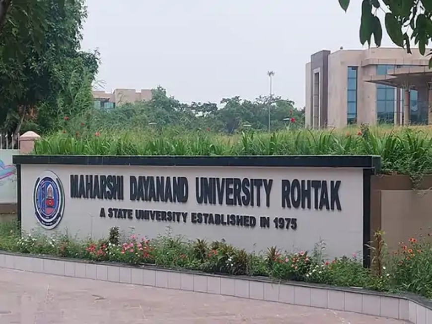 रोहतक MDU में खूनी संघर्ष: छात्रा से बात करने पर छात्र की पीठ में घोंपा बर्फ तोड़ने वाला सुआ, रीढ़ की हड्डी के पास 3 इंच तक धंसा; हालत नाजुक